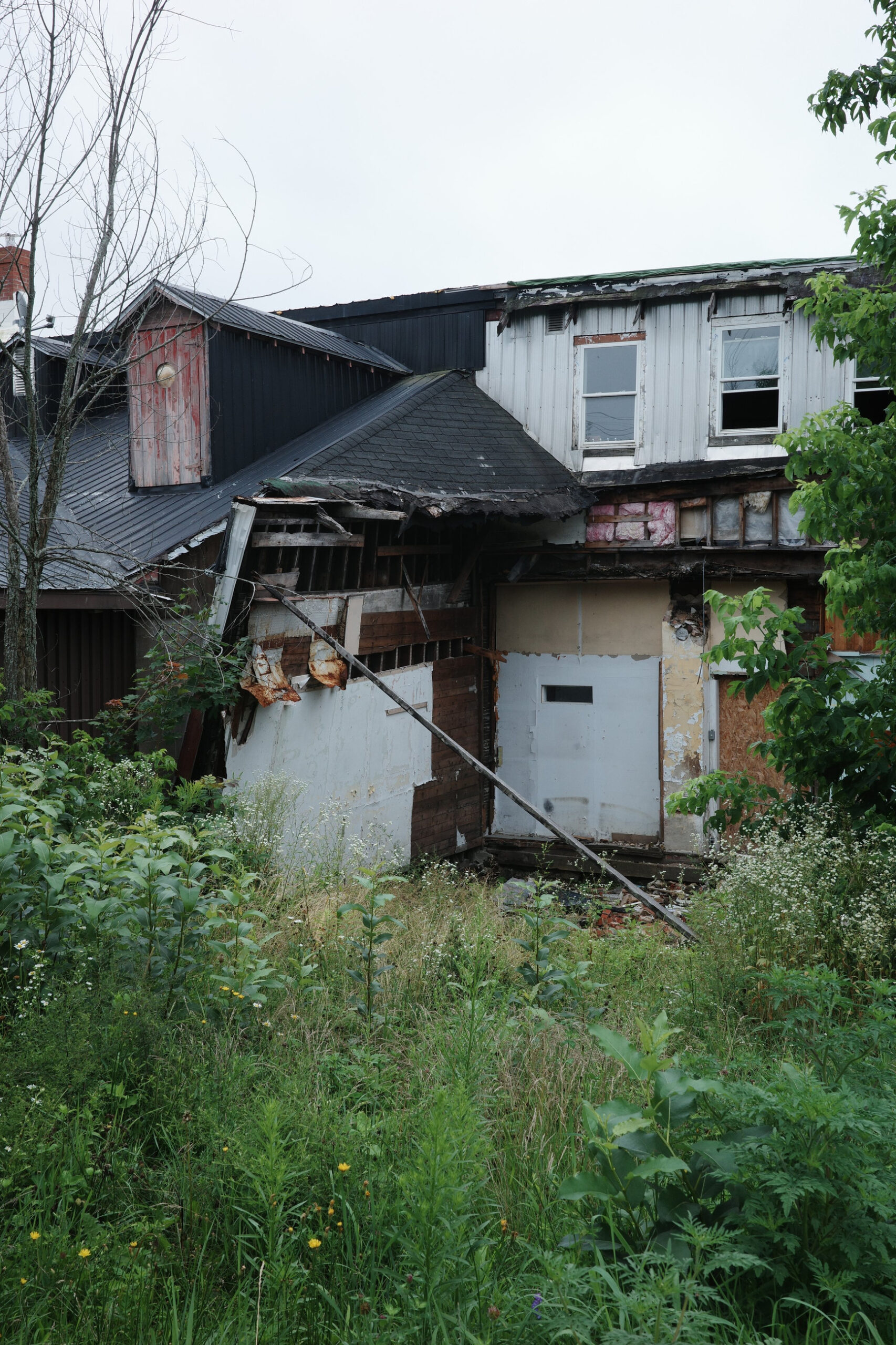 R0003160.JPG