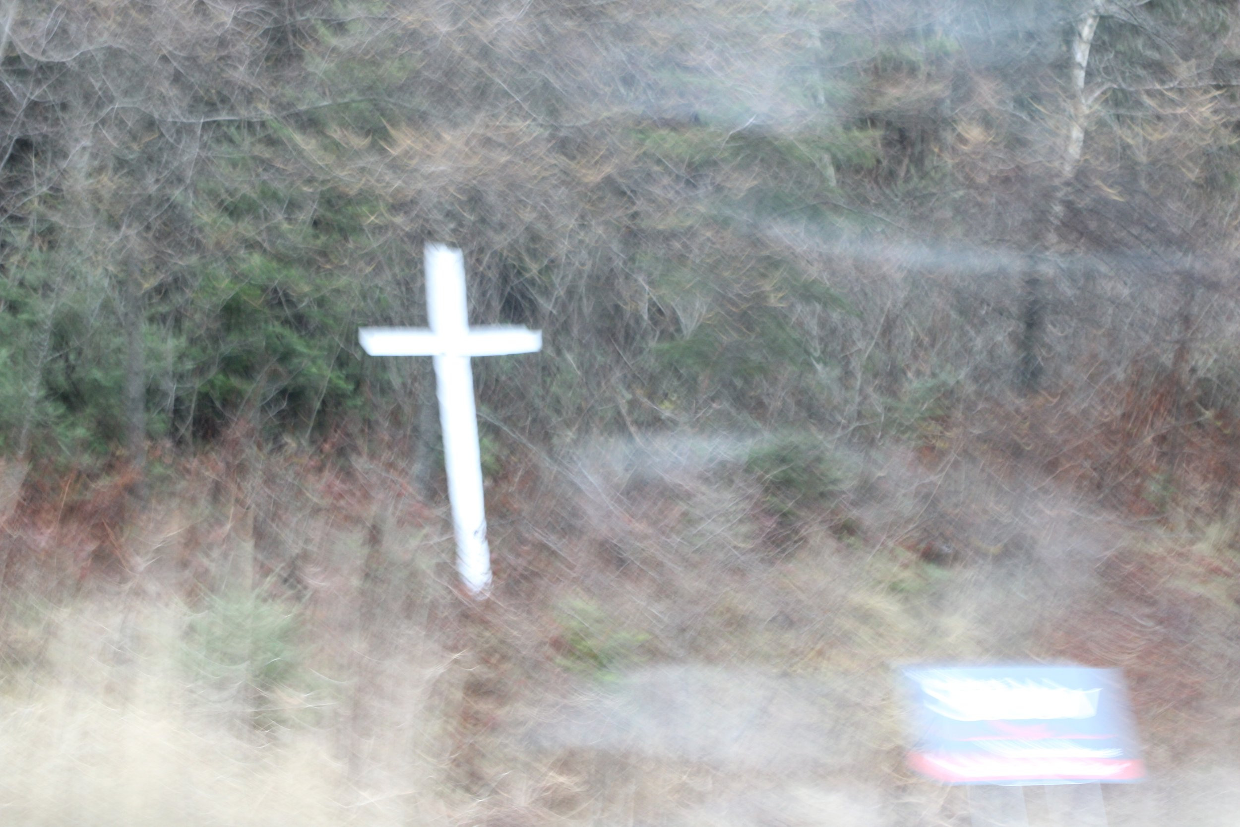 IMG_3680 copy.JPG