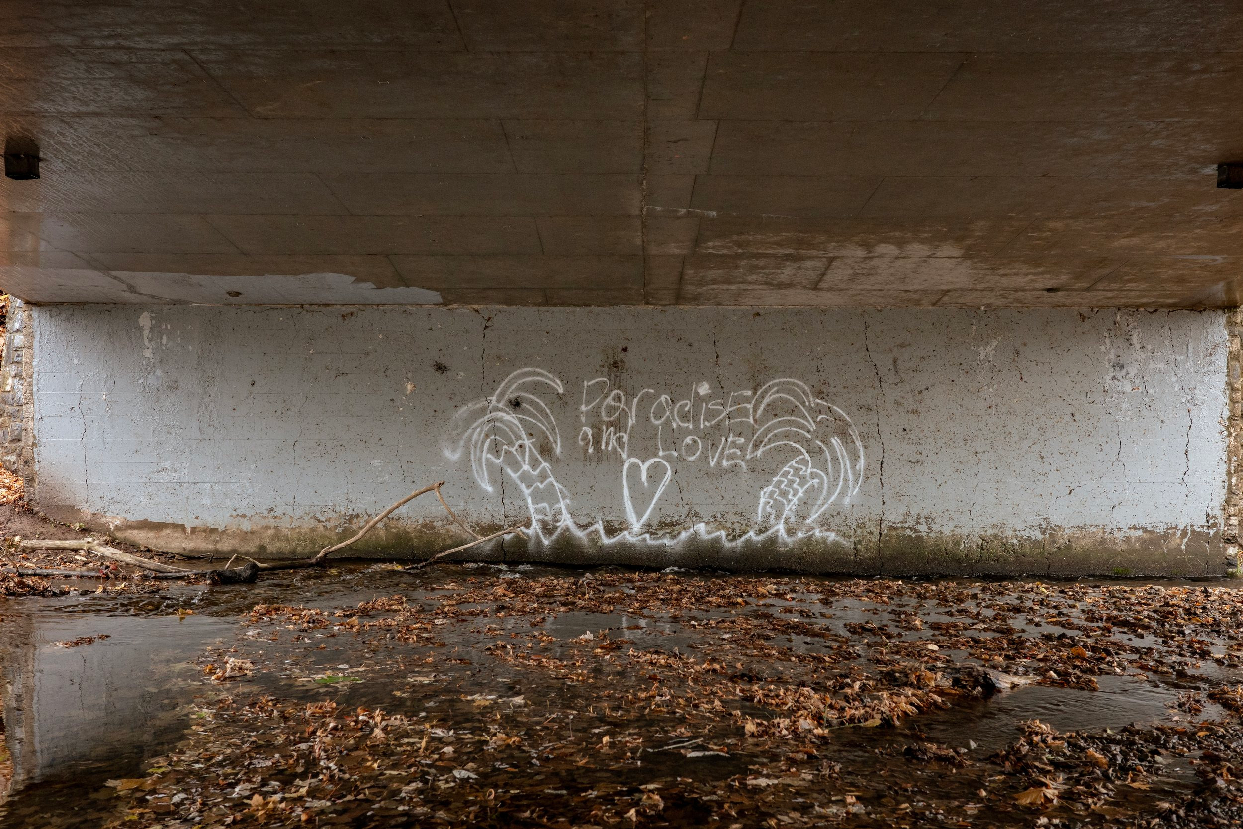 R0004266 copy.jpg