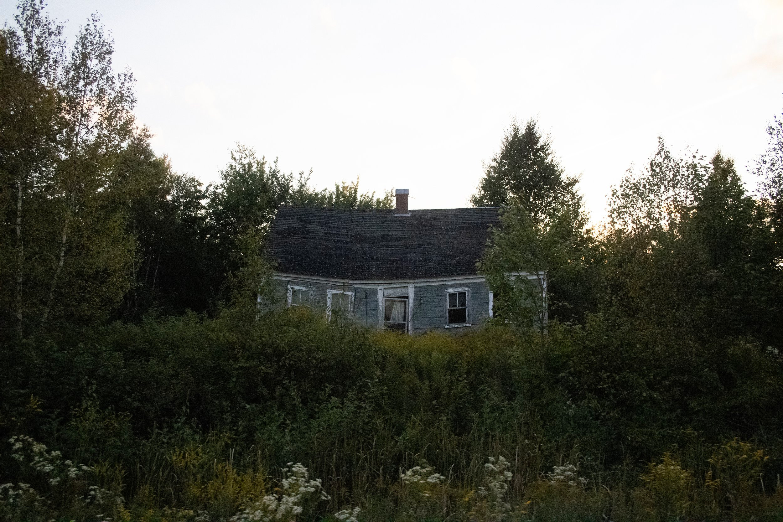 IMG_4075 copy 2.jpg