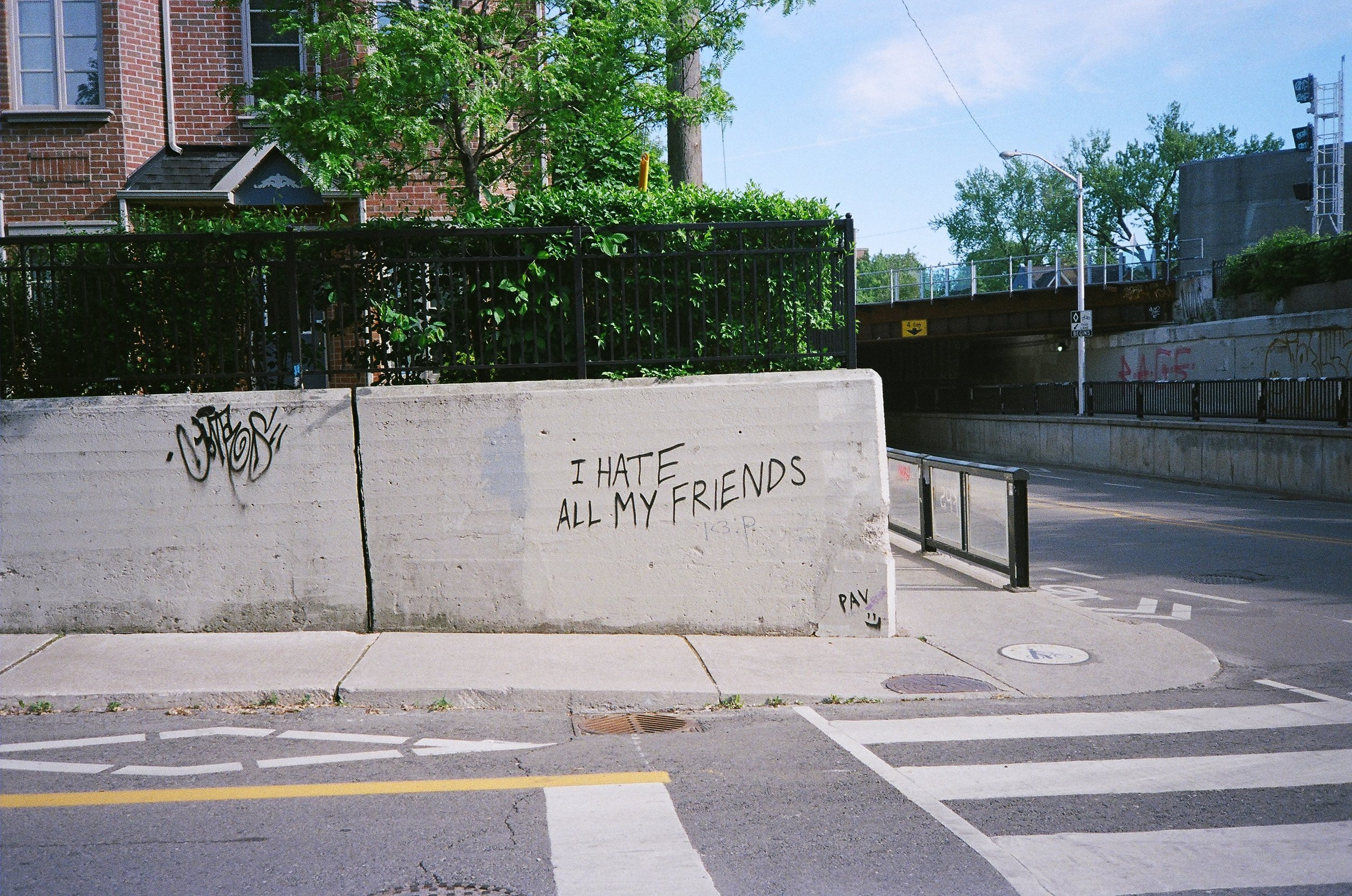 41890008.JPG