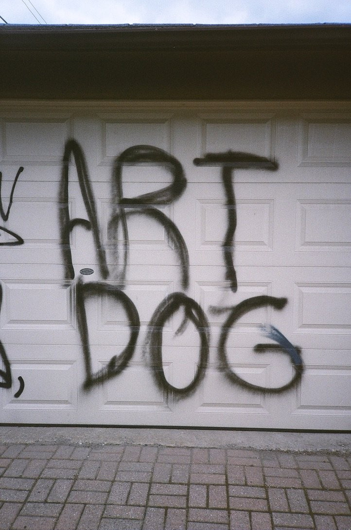 6371F3C8-F570-4645-86A8-4B248E29966F_1_105_c.jpeg