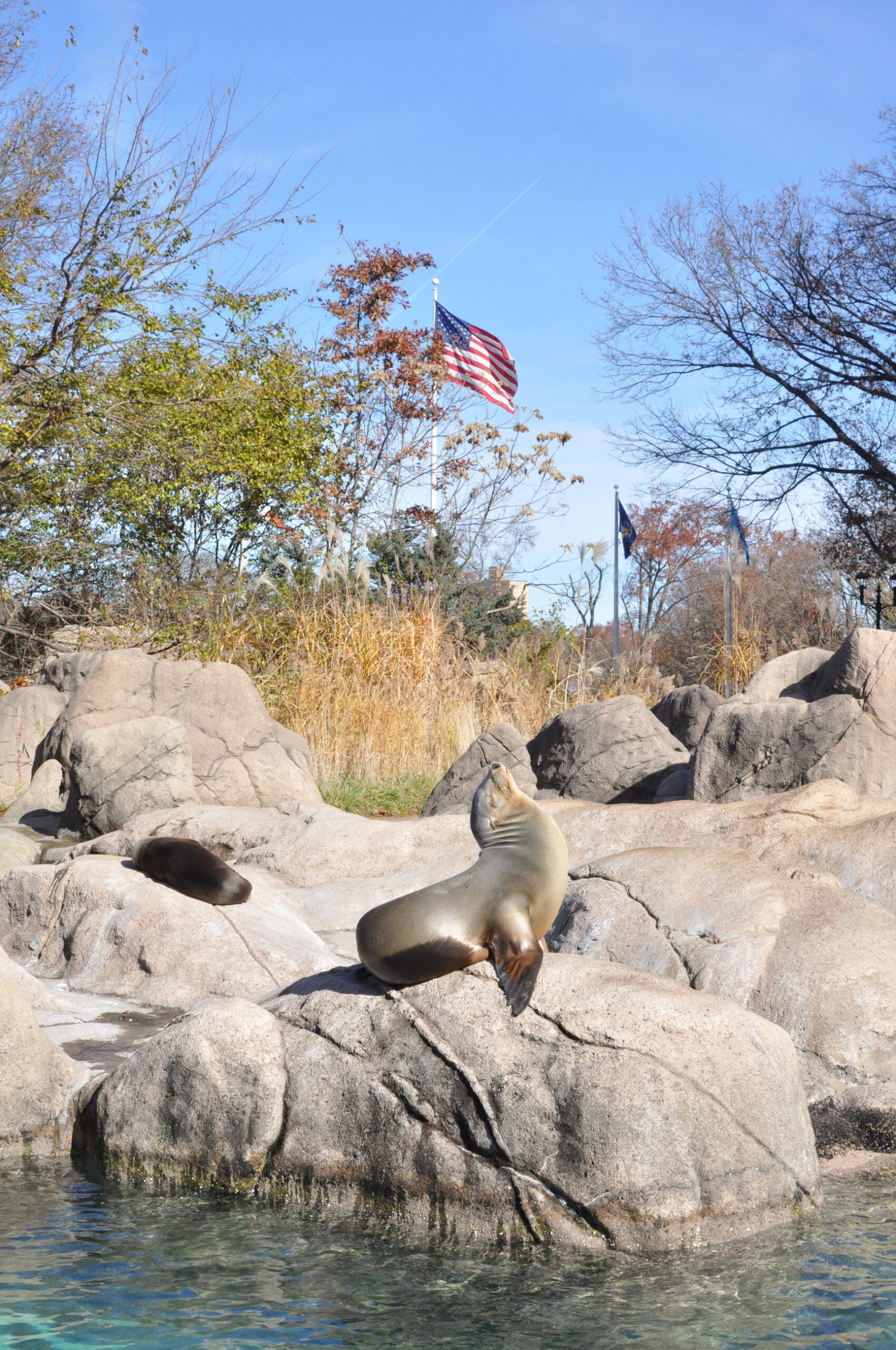 DSC_0101 2.JPG