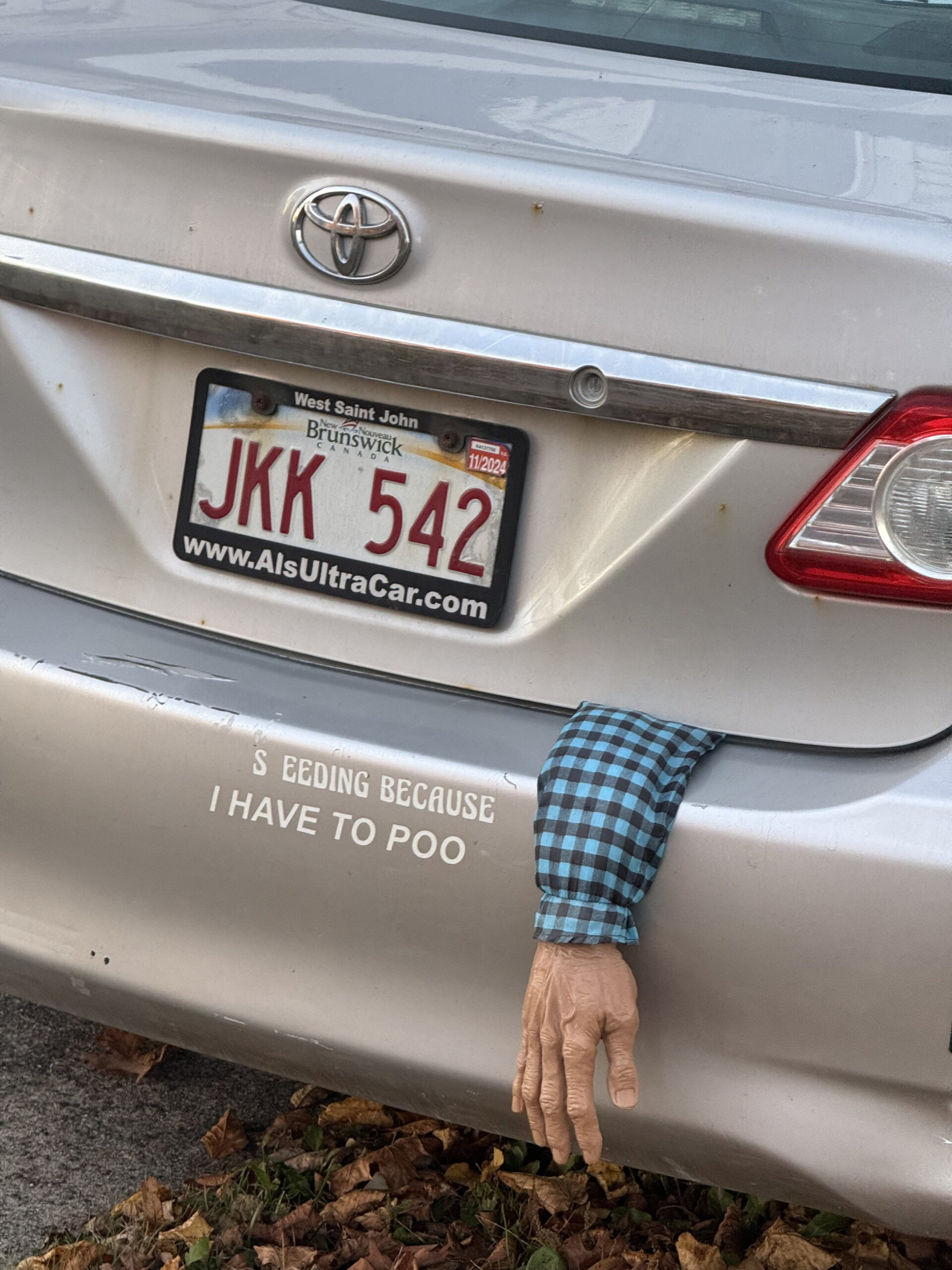IMG_9924.jpeg