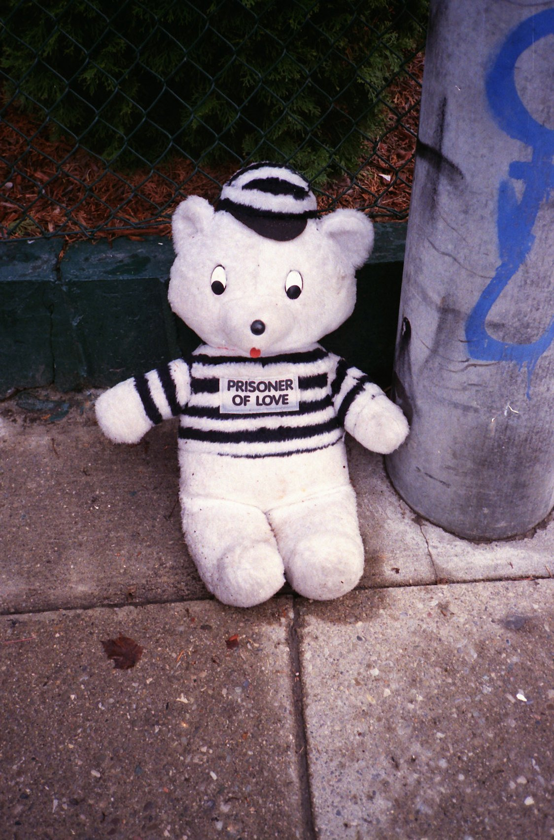 25451973970.jpg